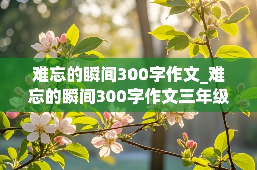 难忘的瞬间300字作文_难忘的瞬间300字作文三年级