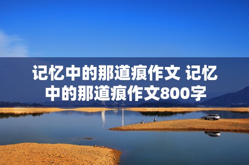 记忆中的那道痕作文 记忆中的那道痕作文800字