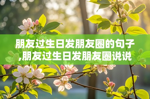 朋友过生日发朋友圈的句子,朋友过生日发朋友圈说说