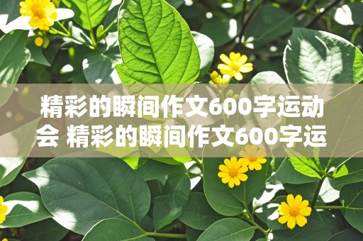 精彩的瞬间作文600字运动会 精彩的瞬间作文600字运动会开头