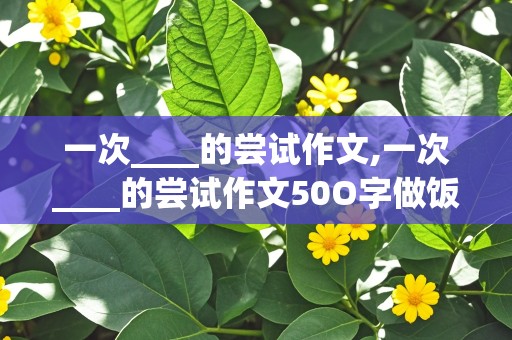 一次____的尝试作文,一次____的尝试作文50O字做饭