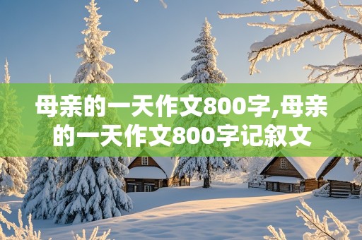 母亲的一天作文800字,母亲的一天作文800字记叙文