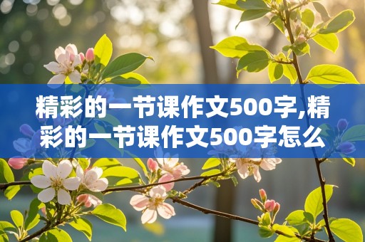 精彩的一节课作文500字,精彩的一节课作文500字怎么写