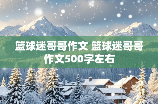 篮球迷哥哥作文 篮球迷哥哥作文500字左右