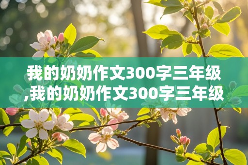 我的奶奶作文300字三年级,我的奶奶作文300字三年级作文