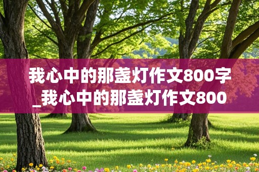 我心中的那盏灯作文800字_我心中的那盏灯作文800字老师