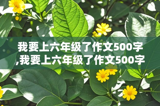 我要上六年级了作文500字,我要上六年级了作文500字左右