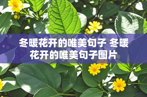 冬暖花开的唯美句子 冬暖花开的唯美句子图片