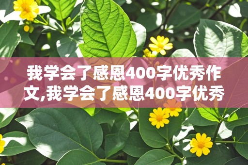 我学会了感恩400字优秀作文,我学会了感恩400字优秀作文四年级