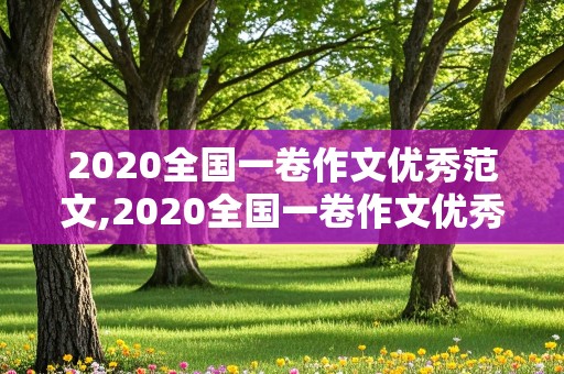 2020全国一卷作文优秀范文,2020全国一卷作文优秀范文齐桓公