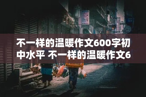 不一样的温暖作文600字初中水平 不一样的温暖作文600字以上