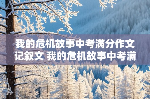 我的危机故事中考满分作文记叙文 我的危机故事中考满分作文记叙文结尾