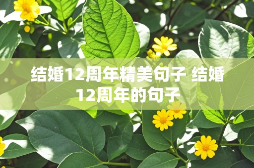 结婚12周年精美句子 结婚12周年的句子