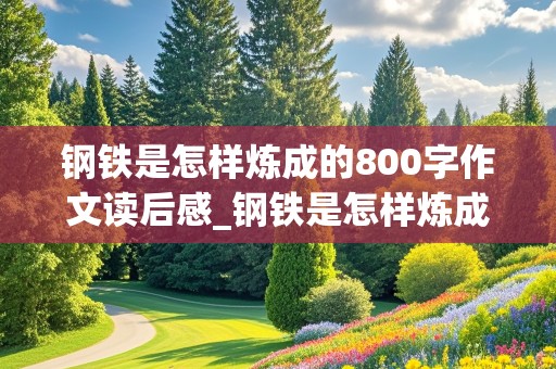 钢铁是怎样炼成的800字作文读后感_钢铁是怎样炼成的800字作文读后感1章到三章