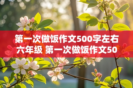 第一次做饭作文500字左右六年级 第一次做饭作文500字左右六年级上册