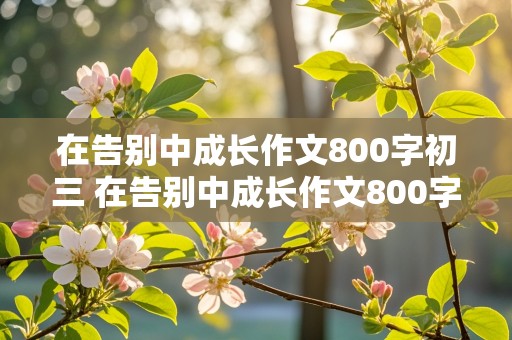 在告别中成长作文800字初三 在告别中成长作文800字初三记叙文