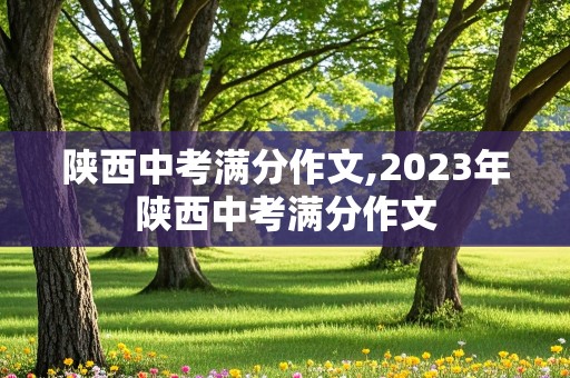 陕西中考满分作文,2023年陕西中考满分作文