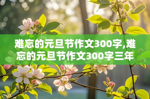 难忘的元旦节作文300字,难忘的元旦节作文300字三年级