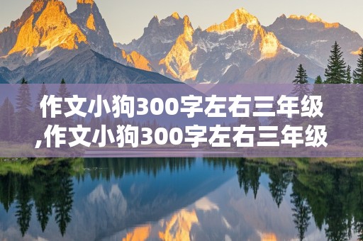 作文小狗300字左右三年级,作文小狗300字左右三年级上册