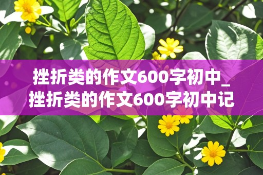 挫折类的作文600字初中_挫折类的作文600字初中记叙文