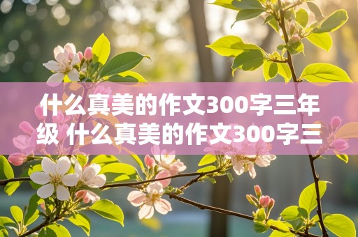 什么真美的作文300字三年级 什么真美的作文300字三年级上册