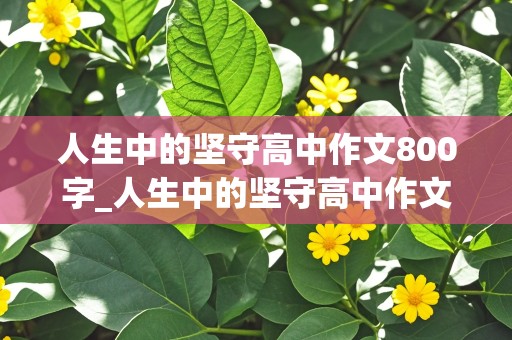 人生中的坚守高中作文800字_人生中的坚守高中作文800字议论文素材