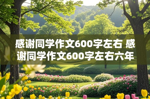 感谢同学作文600字左右 感谢同学作文600字左右六年级