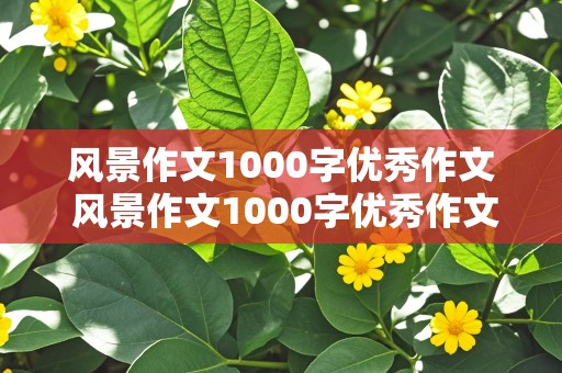 风景作文1000字优秀作文 风景作文1000字优秀作文大全