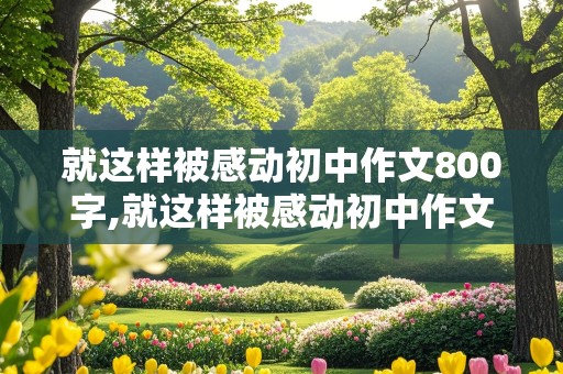 就这样被感动初中作文800字,就这样被感动初中作文800字纪念志愿军