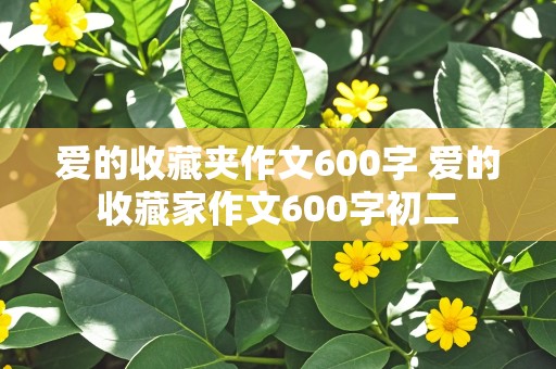 爱的收藏夹作文600字 爱的收藏家作文600字初二