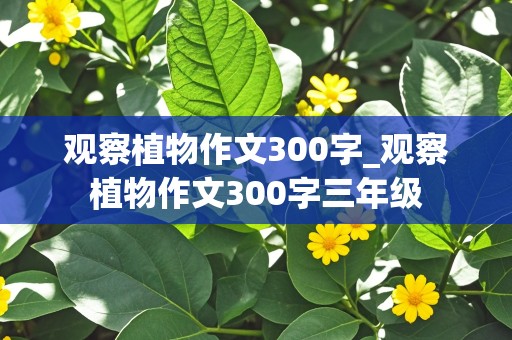 观察植物作文300字_观察植物作文300字三年级