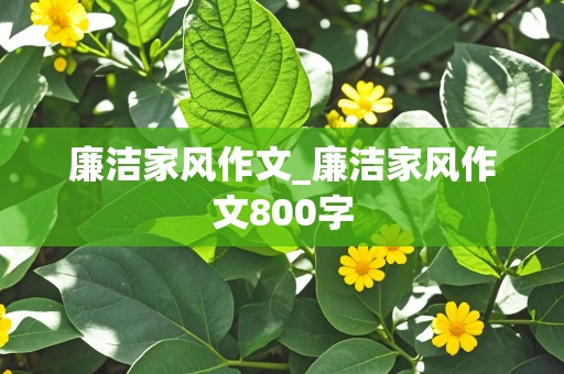 廉洁家风作文_廉洁家风作文800字