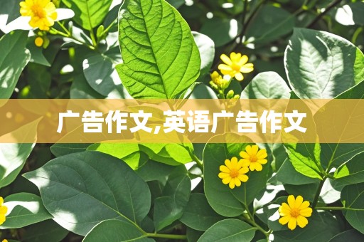 广告作文,英语广告作文