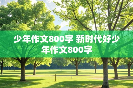 少年作文800字 新时代好少年作文800字