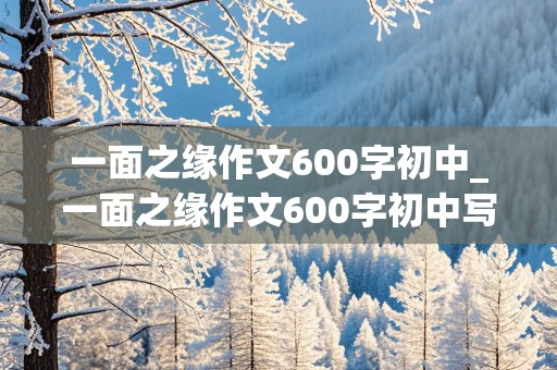 一面之缘作文600字初中_一面之缘作文600字初中写人