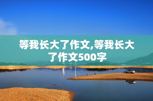 等我长大了作文,等我长大了作文500字