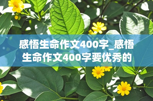 感悟生命作文400字_感悟生命作文400字要优秀的