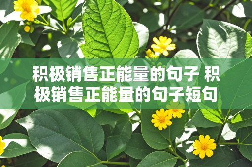 积极销售正能量的句子 积极销售正能量的句子短句