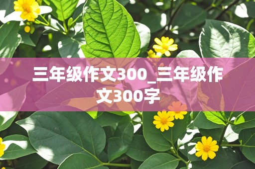 三年级作文300_三年级作文300字