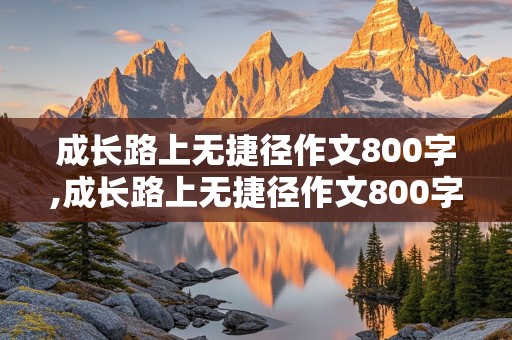 成长路上无捷径作文800字,成长路上无捷径作文800字记叙文