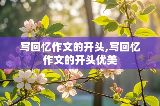 写回忆作文的开头,写回忆作文的开头优美