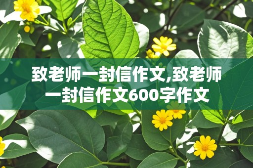 致老师一封信作文,致老师一封信作文600字作文