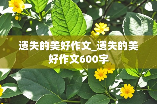 遗失的美好作文_遗失的美好作文600字