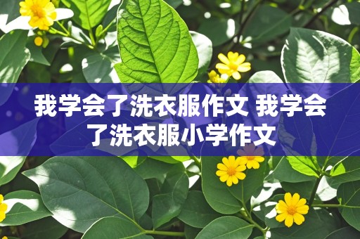 我学会了洗衣服作文 我学会了洗衣服小学作文