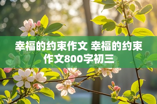 幸福的约束作文 幸福的约束作文800字初三