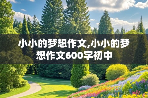 小小的梦想作文,小小的梦想作文600字初中