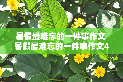 暑假最难忘的一件事作文 暑假最难忘的一件事作文400字