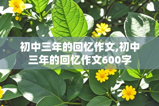 初中三年的回忆作文,初中三年的回忆作文600字