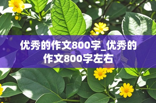 优秀的作文800字_优秀的作文800字左右