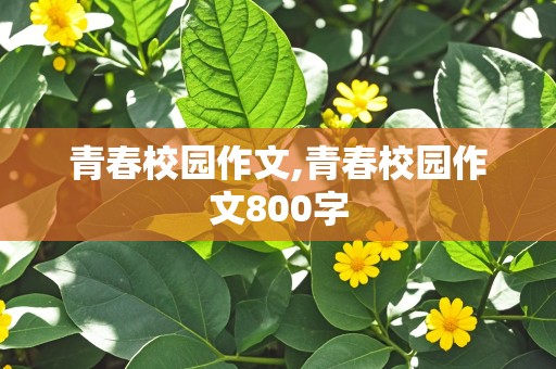 青春校园作文,青春校园作文800字